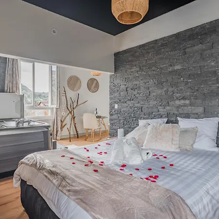 Apartment Cocoon Du Jacuzzi-wifi-parking *
